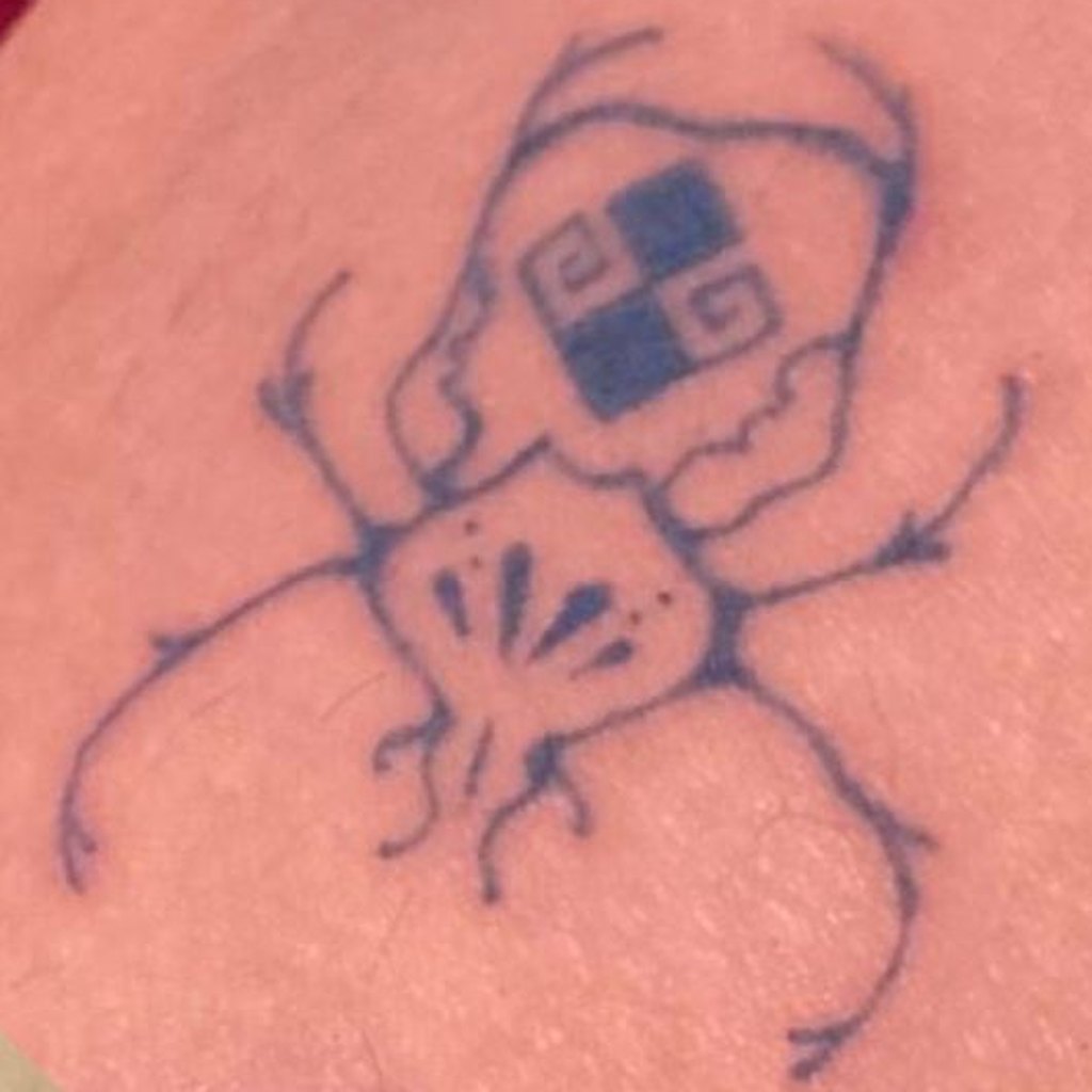 FL-08 beetle — healed on skin