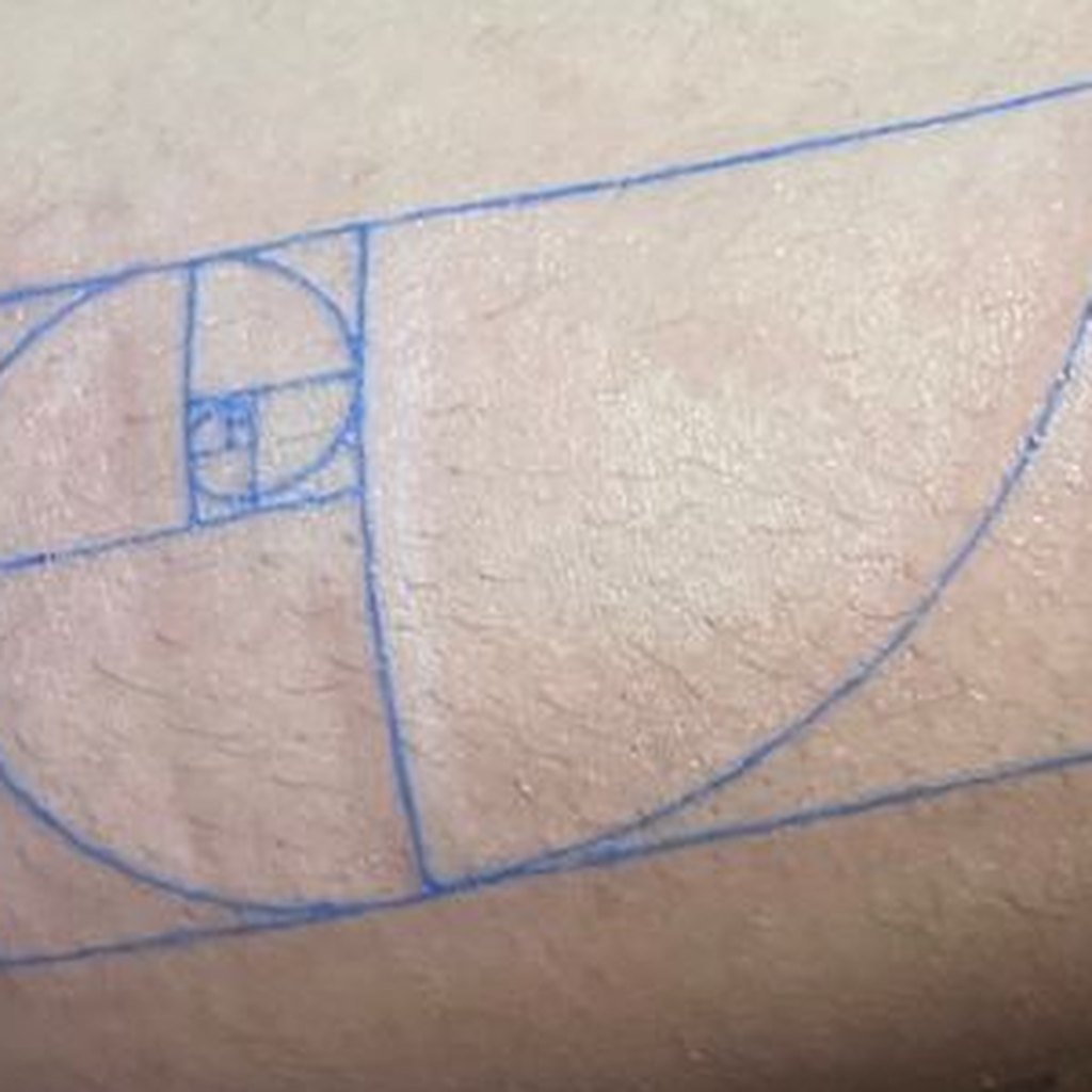 FL-11 golden ratio — healed on skin
