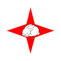 FL-14 star bunny — flash design