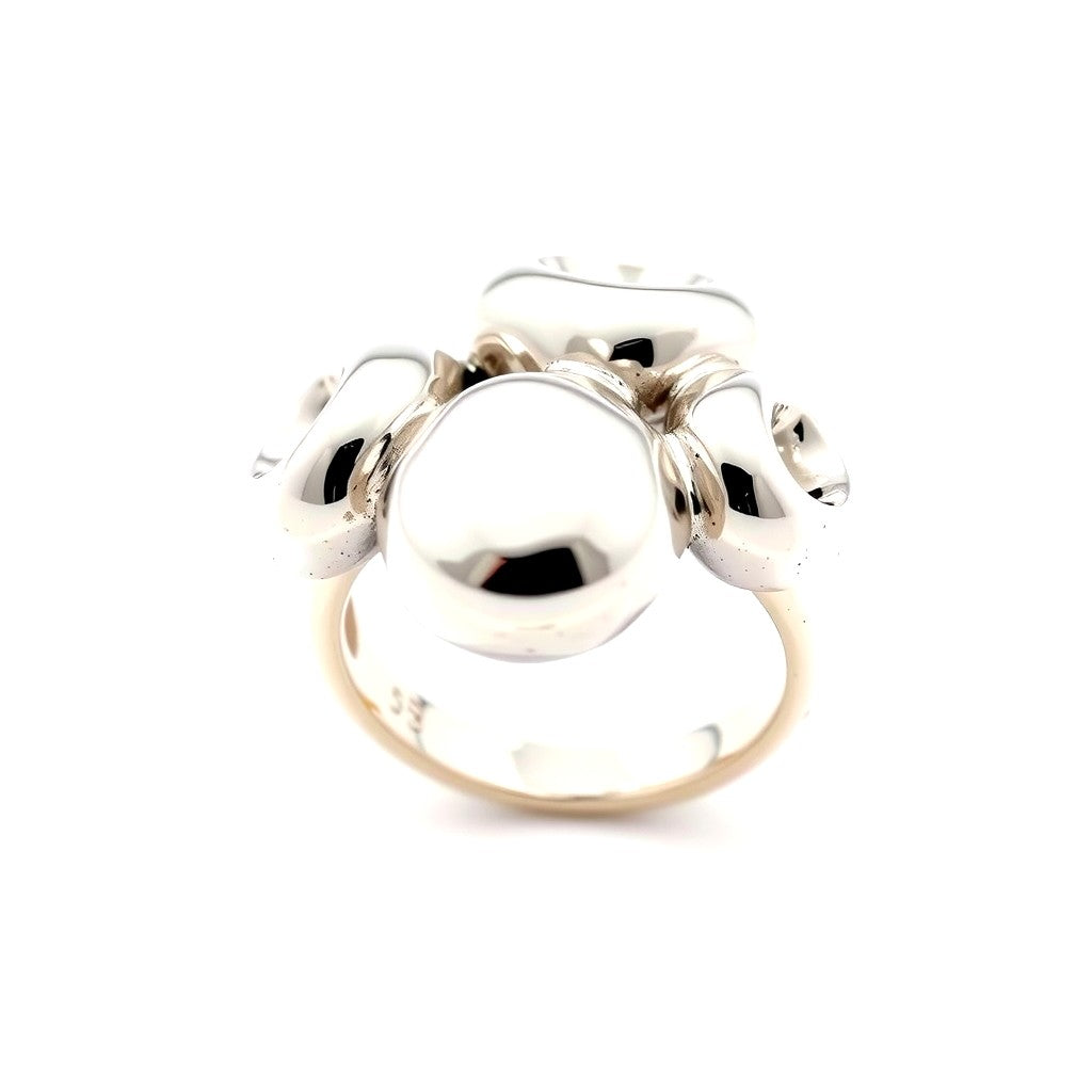 RG-01 liquid ring